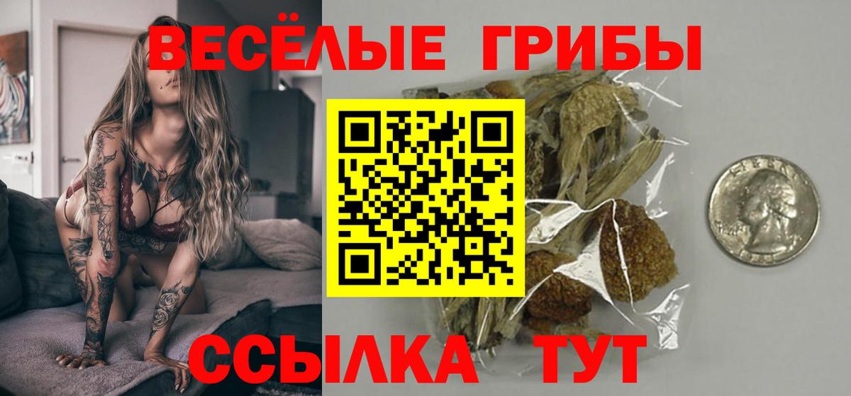 Галлюциногенные грибы GOLDEN TEACHER  Вход с VPN  Псилоцибиновые грибы мухоморы  Городец 